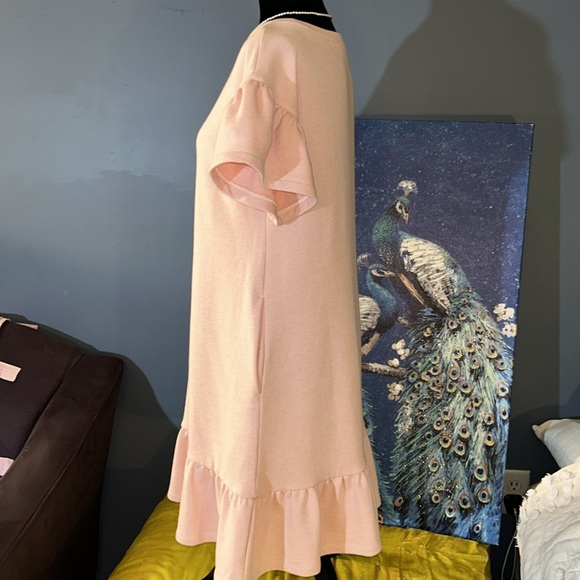Loft Size S Pink Flutter Sleeve Dress - Picture 7 of 12